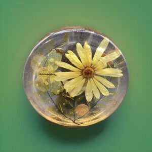 Vintage Dried Flower/ Butterfly Lucite Acrylic Coaster- 3.25" in Diameter